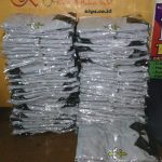 Kaos Kerah Tactical PK, Seragam Poloshirt